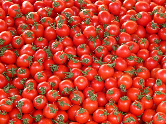 zrelé paradajky